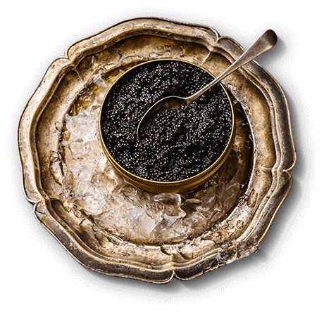 caviar